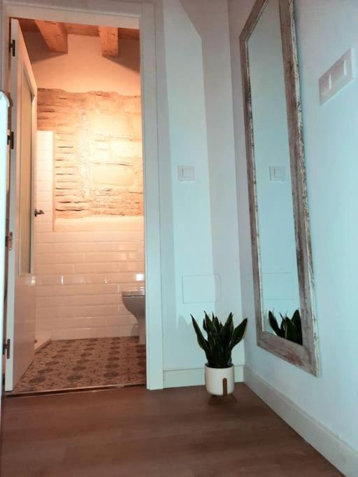 Appartamento Loft céntrico con patio Bodega San Javier Jerez de la Frontera Esterno foto